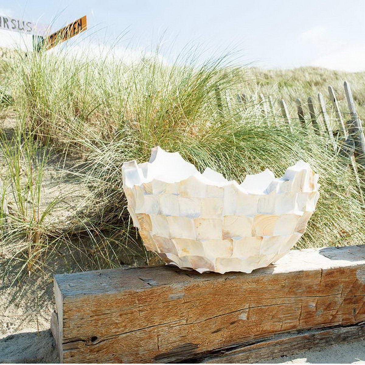 Shell Mother of pearl Bowl Polystone Indoor Planter Shell Mother of pearl Bowl Polystone Indoor Planter