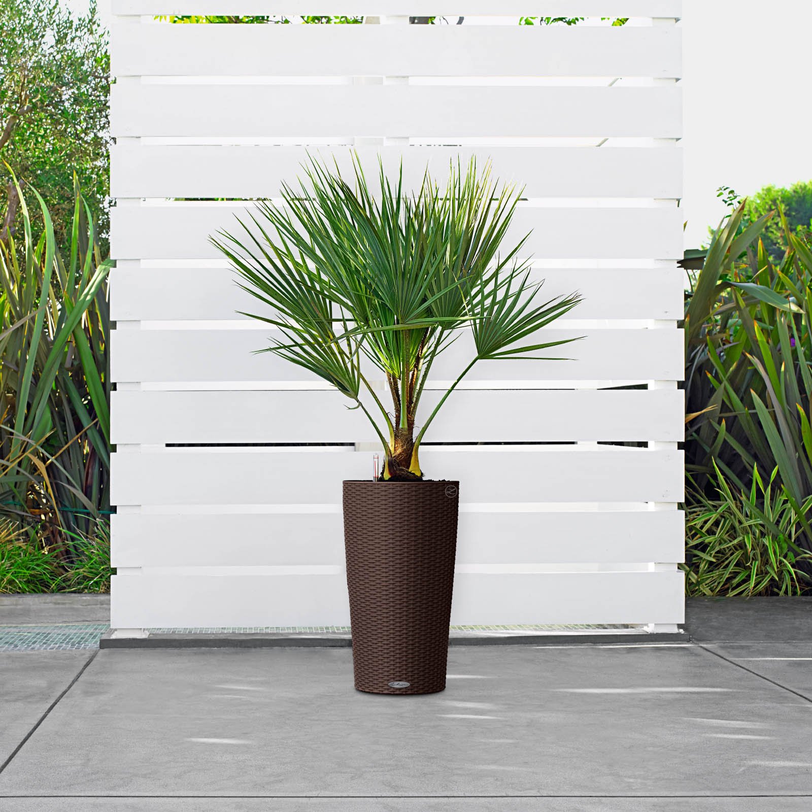 LECHUZA CILINDRO Cottage Round Tall Poly Resin Self-watering Planter