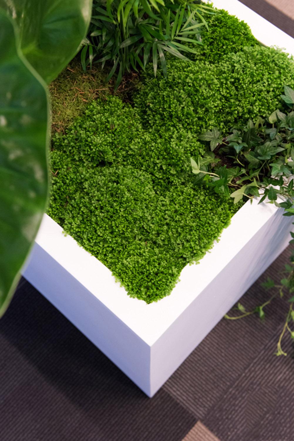 Square Fiberstone Planter by Idealist Premium JUMBO