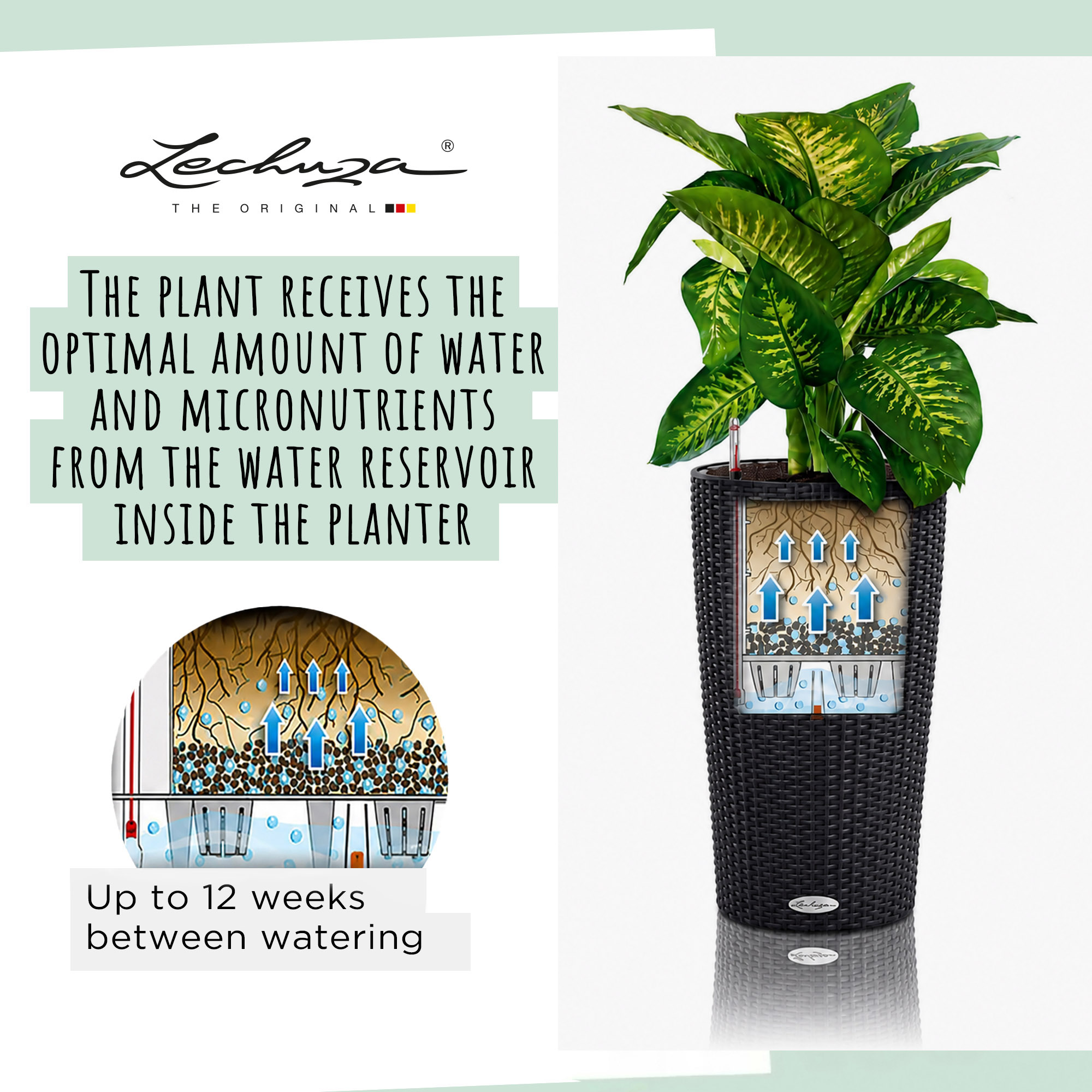 LECHUZA CILINDRO Cottage Round Tall Poly Resin Self-watering Planter
