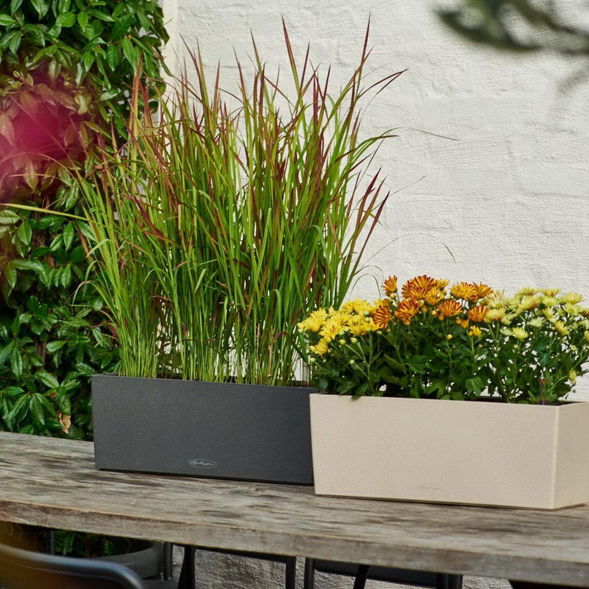 LECHUZA BALCONERA Stone Trough Poly Resin Self-watering Planter Set