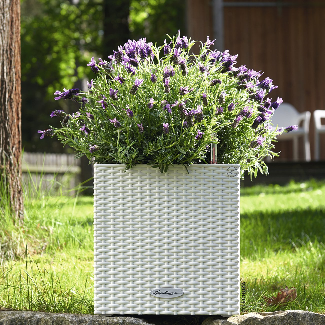 LECHUZA CUBE Cottage Square Poly Resin Self-watering Planter