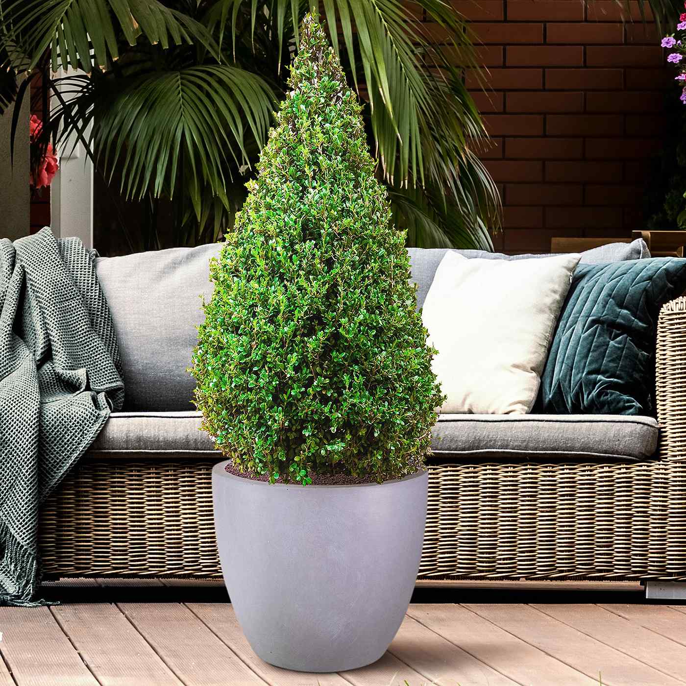 IDEALIST Lite Contemporary Light Concrete Egg Planter