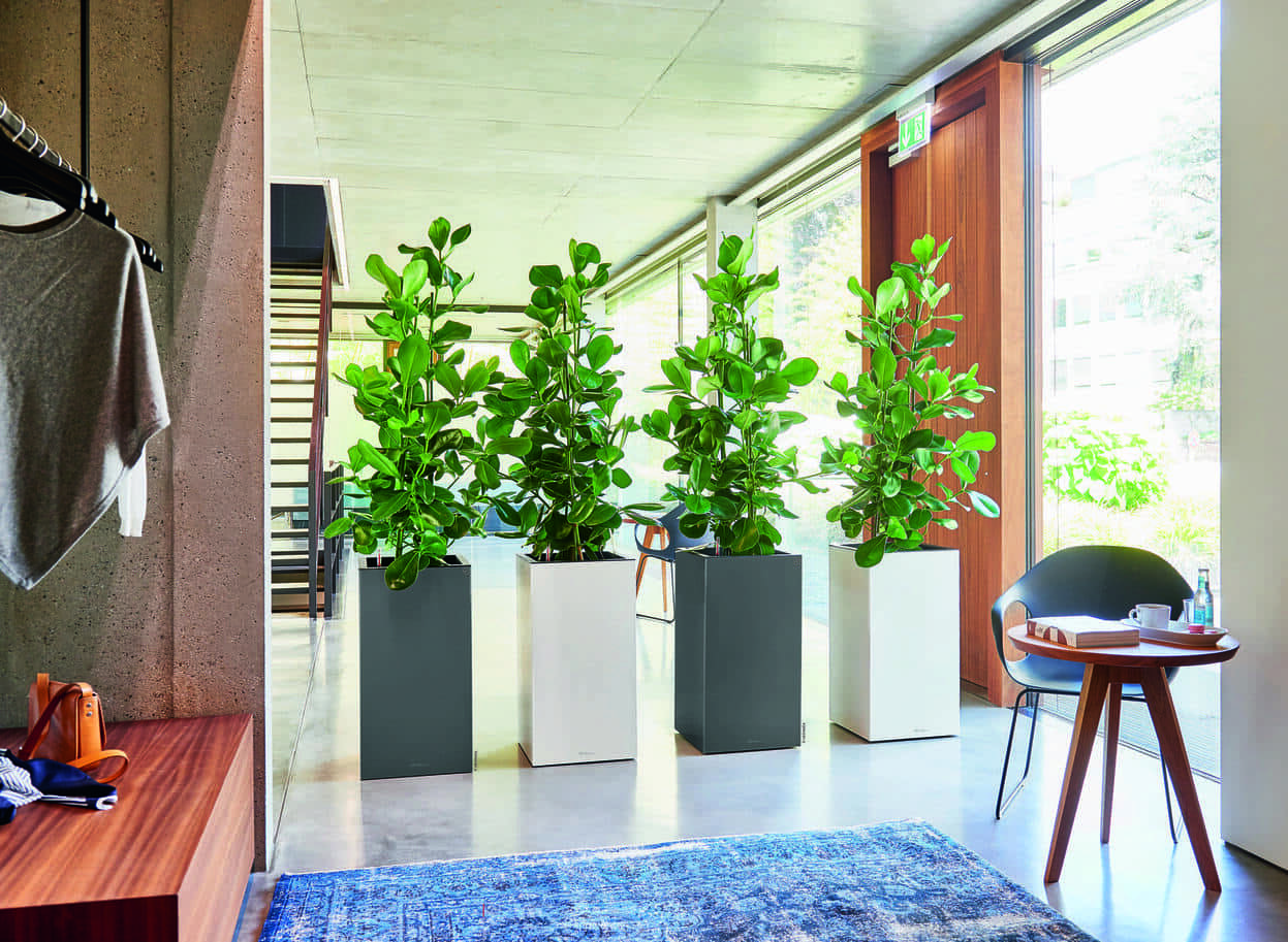 From retro to modern: complementing home decors  with planters on legs
