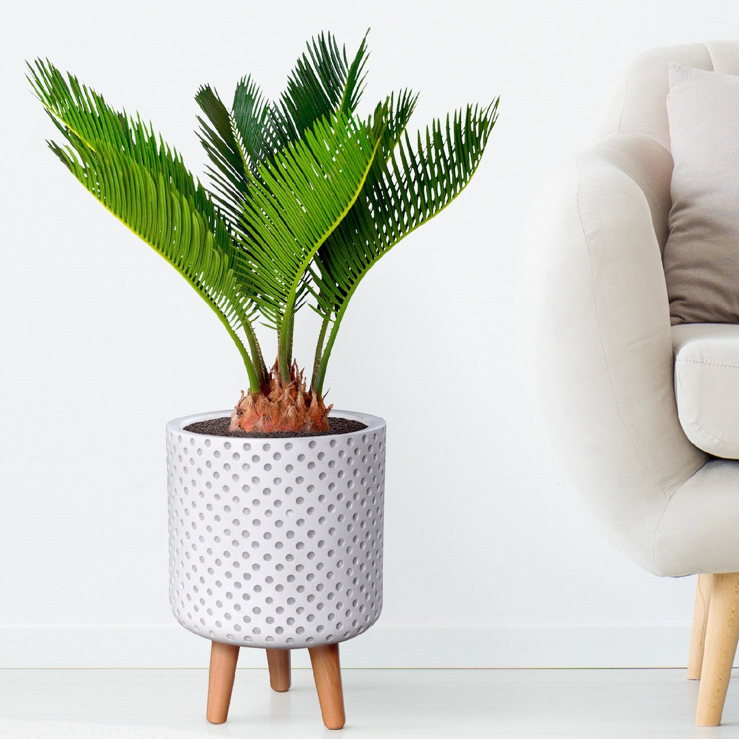 IDEALIST Lite Dotted Style Planter on Legs, Round Plant Pot Indoor