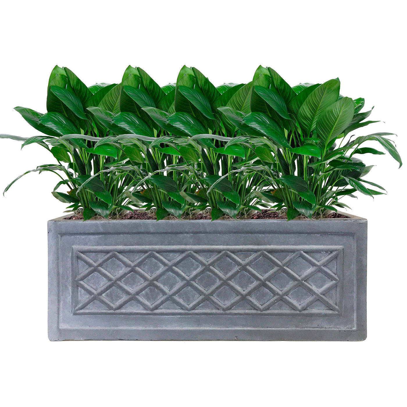 IDEALIST Lite Window Box Faux Lead Lattice Grey Light Stone Planter