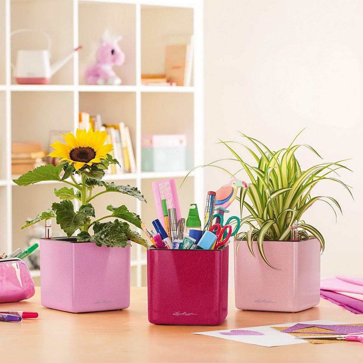 LECHUZA CUBE Glossy Kiss Square Poly Resin Indoor Self-watering Planter