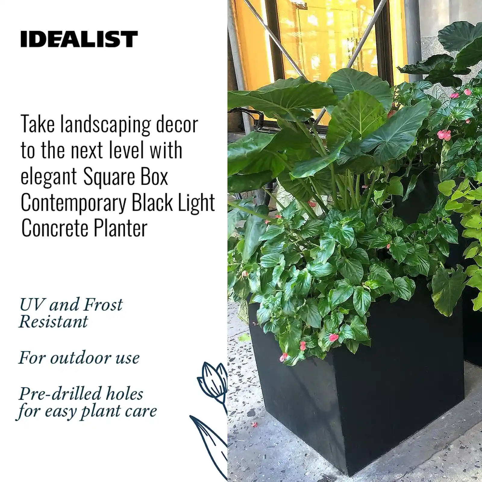 IDEALIST Lite Square Box Contemporary Light Concrete Planter