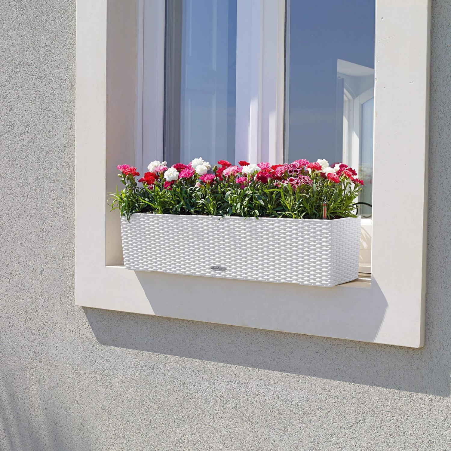LECHUZA BALCONERA Cottage Trough Poly Resin Self-watering Planter Set
