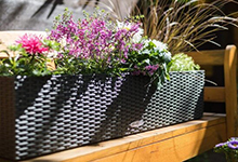  A flower bed in front of the house