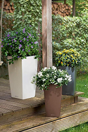 flower boxes on the terrace