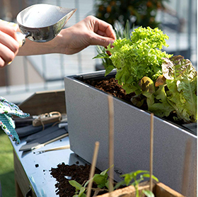 Pruning and pinching