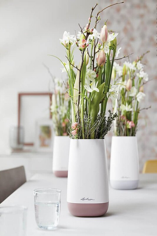 Flowers on walls Flowers on walls