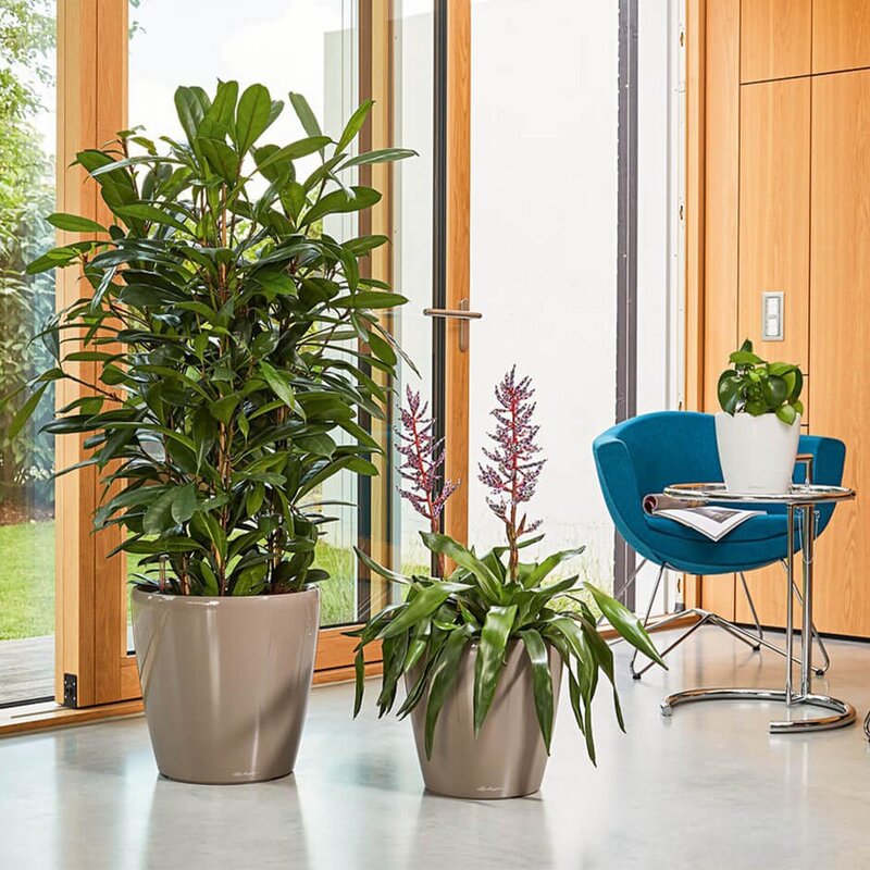 Ideas to decorate house Ideas to decorate house