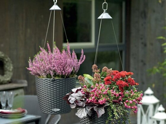  Flowering hanging pots