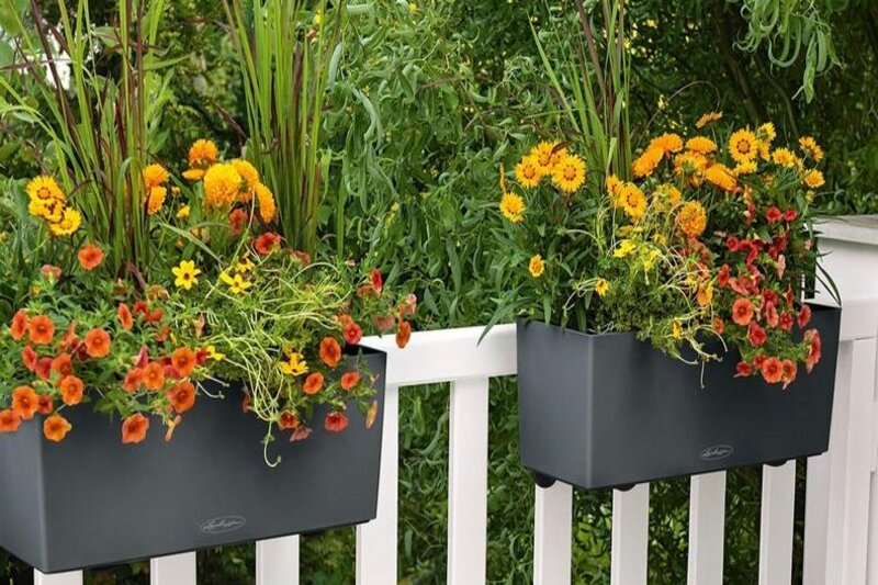 cement rectangular planter