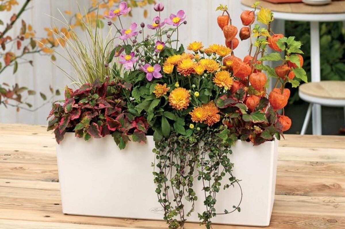 New to Buying Pots? A 2-Minute Guide to Flowerpots!