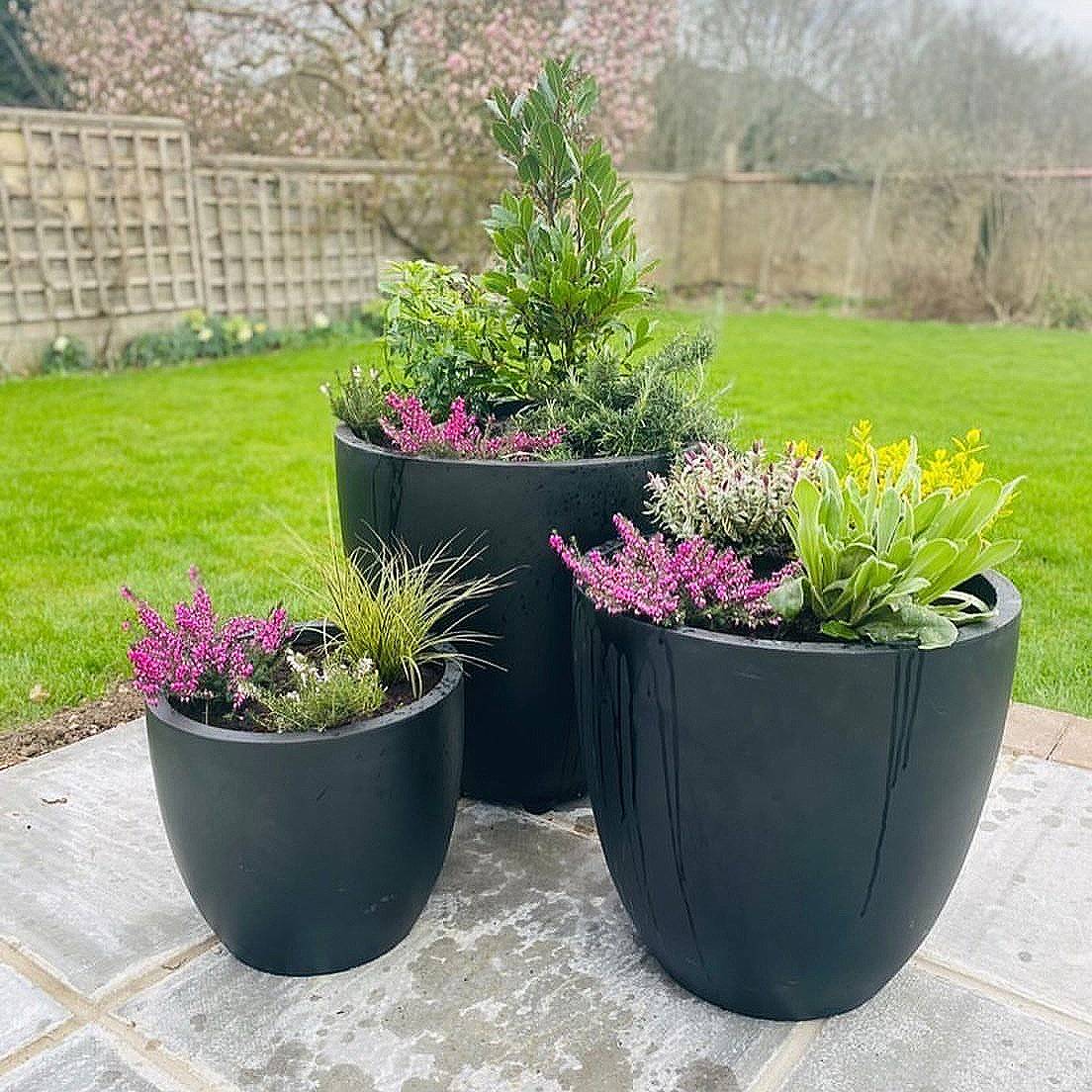 7 Secrets of Container Gardening | Article by Getpotted