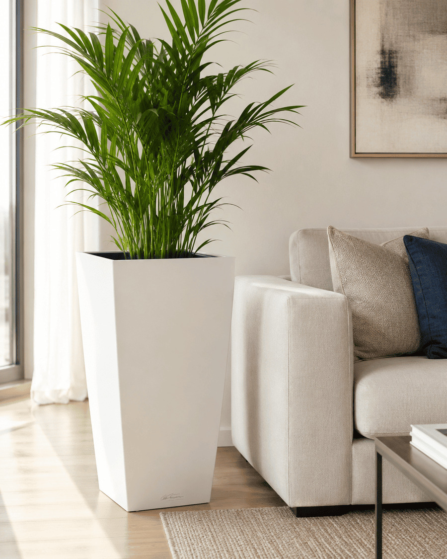 Large white indoor planter beside a sofa in a living room
