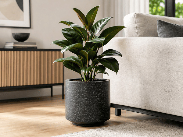 Premium indoor planter in a modern living room