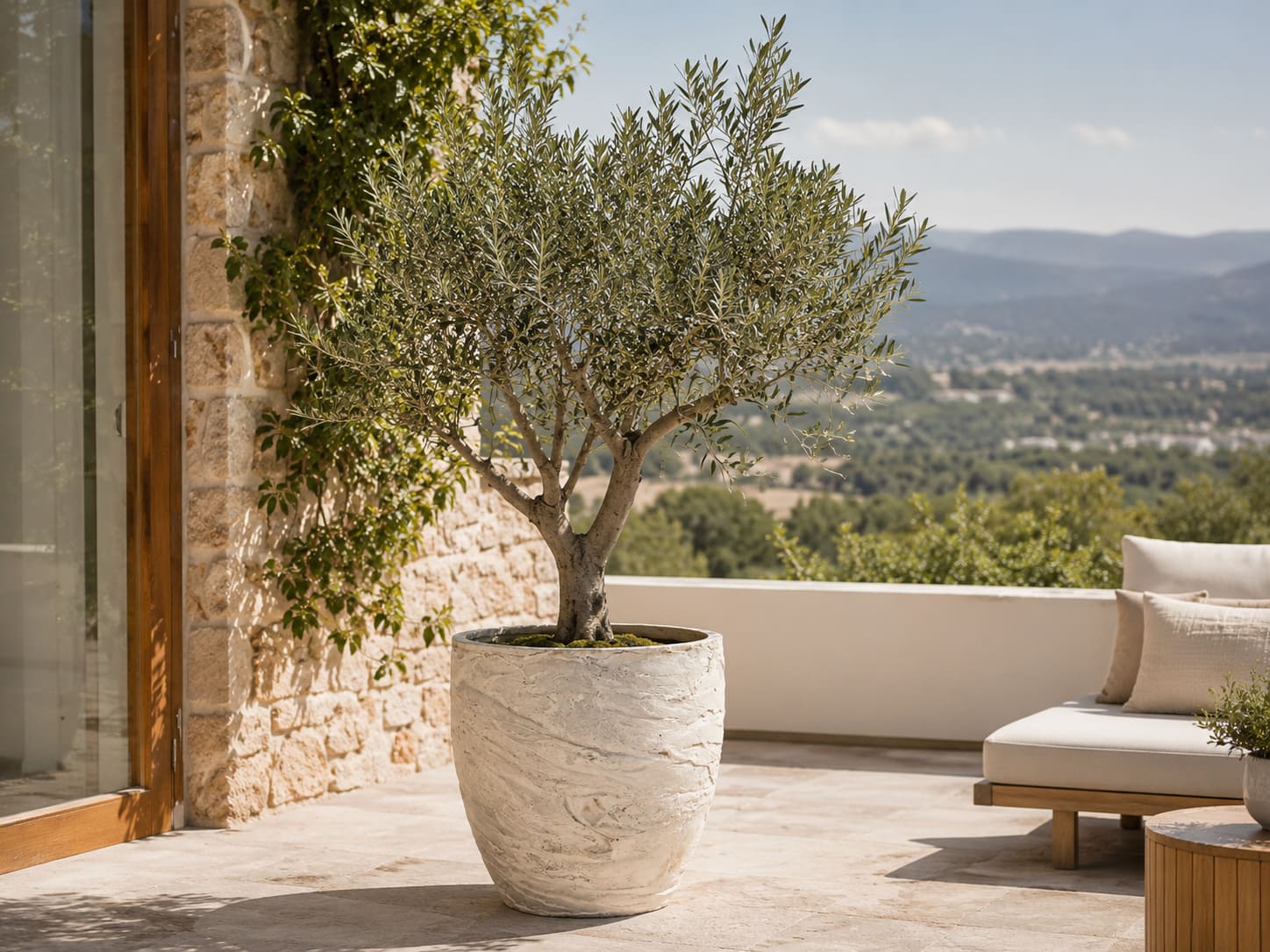 Premium large planter with olive tree on a terrace