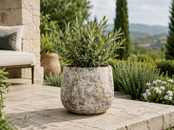 Premium outdoor planter on a stone terrace