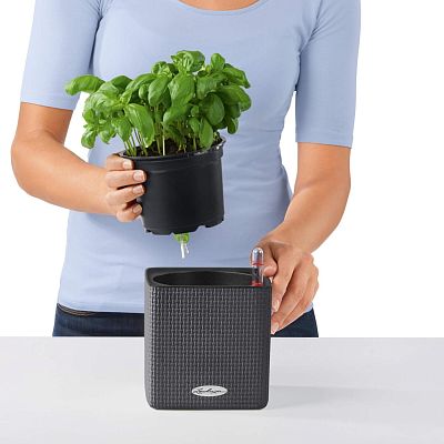 LECHUZA CUBE Color Square Poly Resin Indoor Self-watering Planter