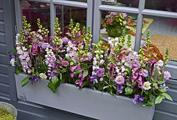 Trough Fiberstone Planter by Idealist Premium Balcony