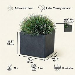 IDEALIST Lite Square Box Contemporary Light Concrete Planter