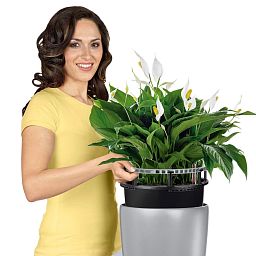 LECHUZA Rondo Round Tall Poly Resin Self-watering Planter