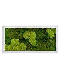 Moss Painting Superline Rectangle