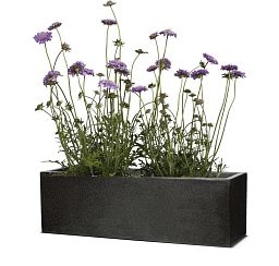 Trough Fiberstone Contemporary Planter By Cadix Capi Lux