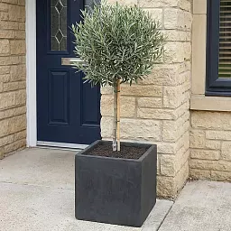 IDEALIST Lite Square Box Contemporary Light Concrete Planter