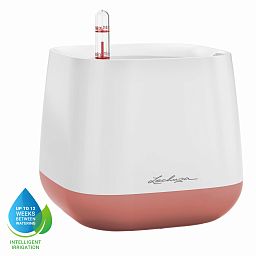 LECHUZA YULA Square Poly Resin Indoor Self-watering Planter