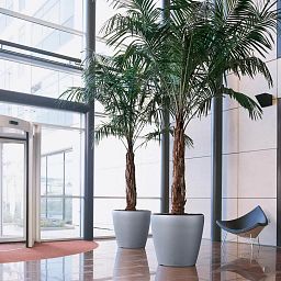 LECHUZA CLASSICO 60|70 Round Poly Resin Self-watering Planter with Substrate