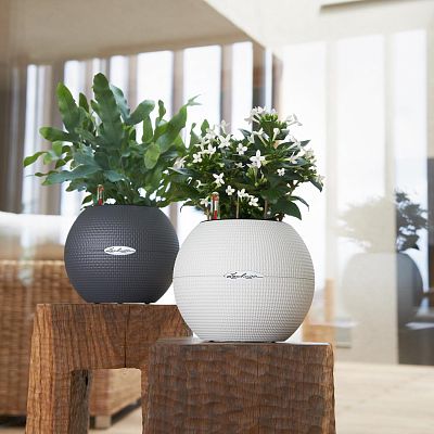 LECHUZA PURO Color Round Poly Resin Self-watering Planter