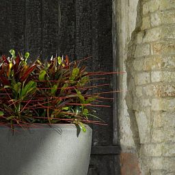 Composits Polystone Oval Indoor Planter Pot