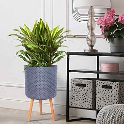 IDEALIST Lite Dotted Style Planter on Legs, Round Plant Pot Indoor