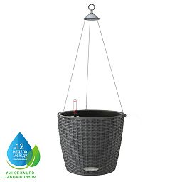 LECHUZA NIDO Cottage Round Poly Resin Outdoor Self-watering Planter