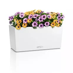 LECHUZA BALCONERA Color Trough Poly Resin Self-watering Planter