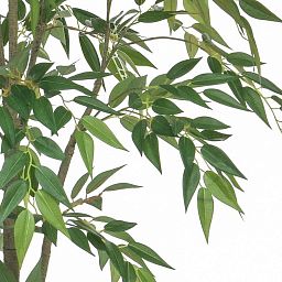 Ficus Benjamin Artificial Tree Plant