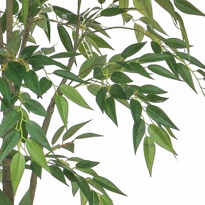 Ficus Benjamin Artificial Tree Plant