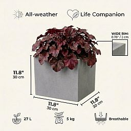IDEALIST Lite Square Box Contemporary Light Concrete Planter
