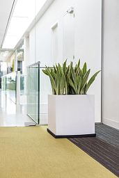Square Fiberstone Planter by Idealist Premium