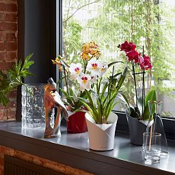 LECHUZA ORCHIDEA Round Poly Resin Indoor Self-watering Planter