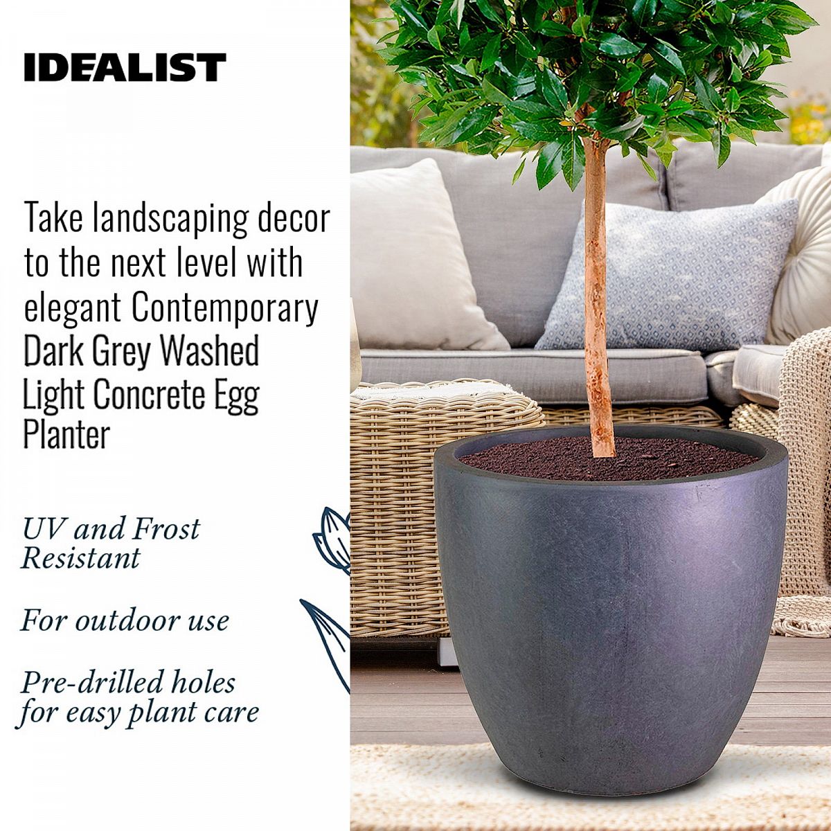 Contemporary Light Concrete Egg Planter by Idealist Lite