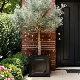 IDEALIST Lite Faux Lead Chelsea Box Square Light Concrete Planter