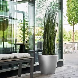 LECHUZA CLASSICO Round Poly Resin Self-watering Planter with Substrate