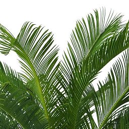 Palm Cycas UV-resistant Artificial Tree Plant