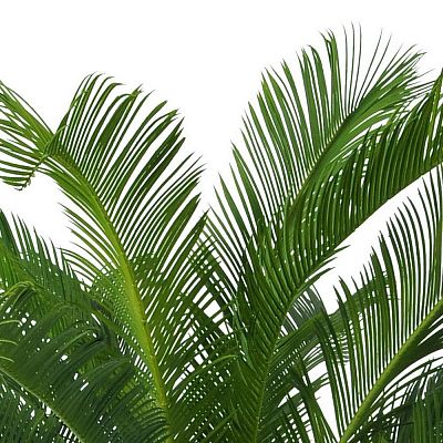Palm Cycas UV-resistant Artificial Tree Plant